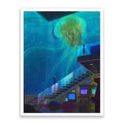 Jelly Fish Arcade